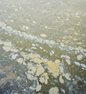 Water Treatment Chemicals